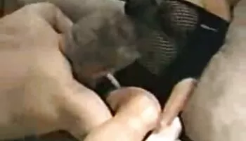 joven sirvienta está xxx camara oculta teniendo un tiempo caliente con 2 veteranos