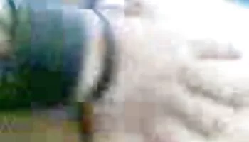 Coños peludos todavía calientes directamente de Japón vol videos caseros 10