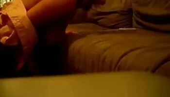 Aficionado