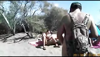 Día de acción de gracias